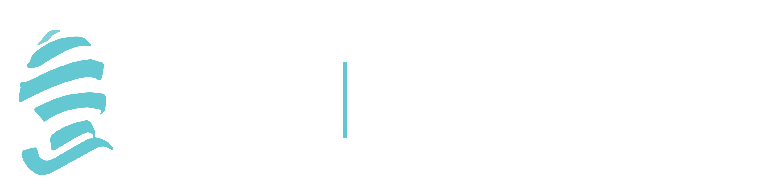 European Academy of Facial Plastic Surgery (EAFPS)