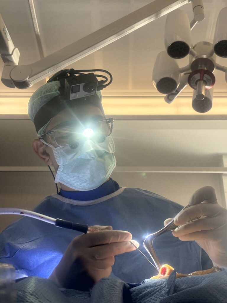 Swiss Rhinoplasty Masterclass